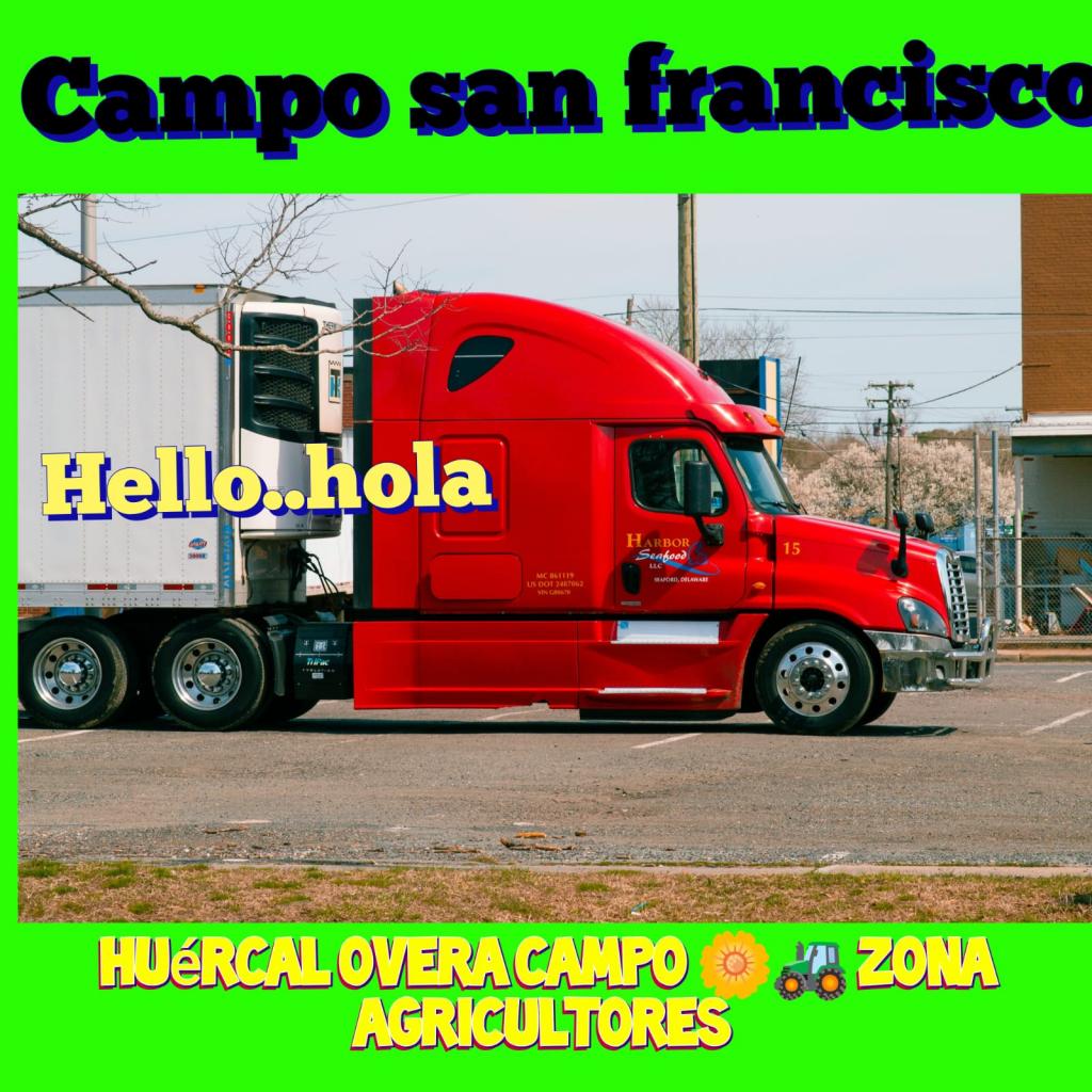 Virtual en Almería: 