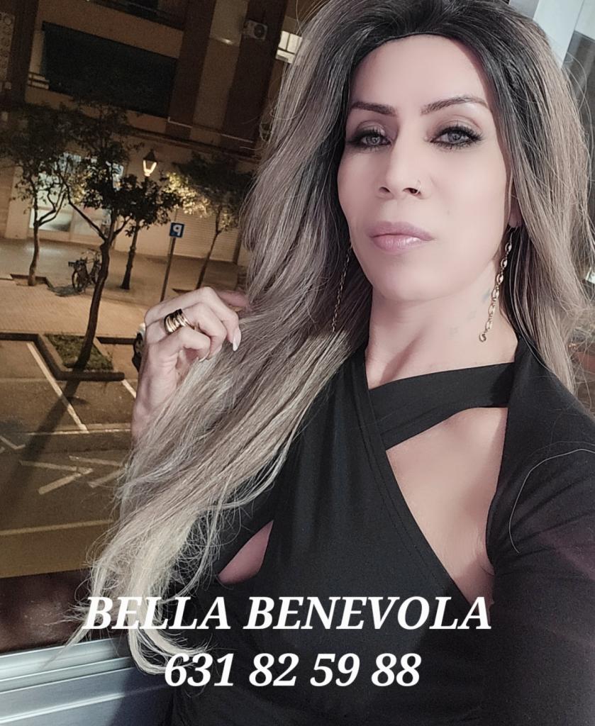 Travesti en Valencia: 