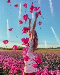 602060204:  en Madrid