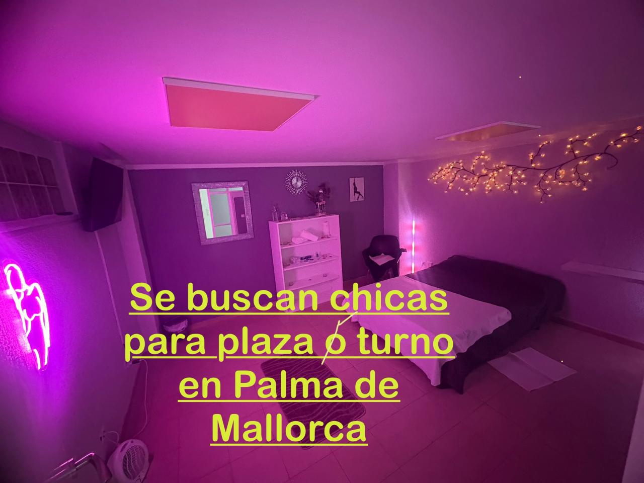  en Mallorca: 