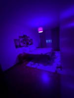 628692489:  en Pontevedra