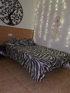 647898091:  en Alicante