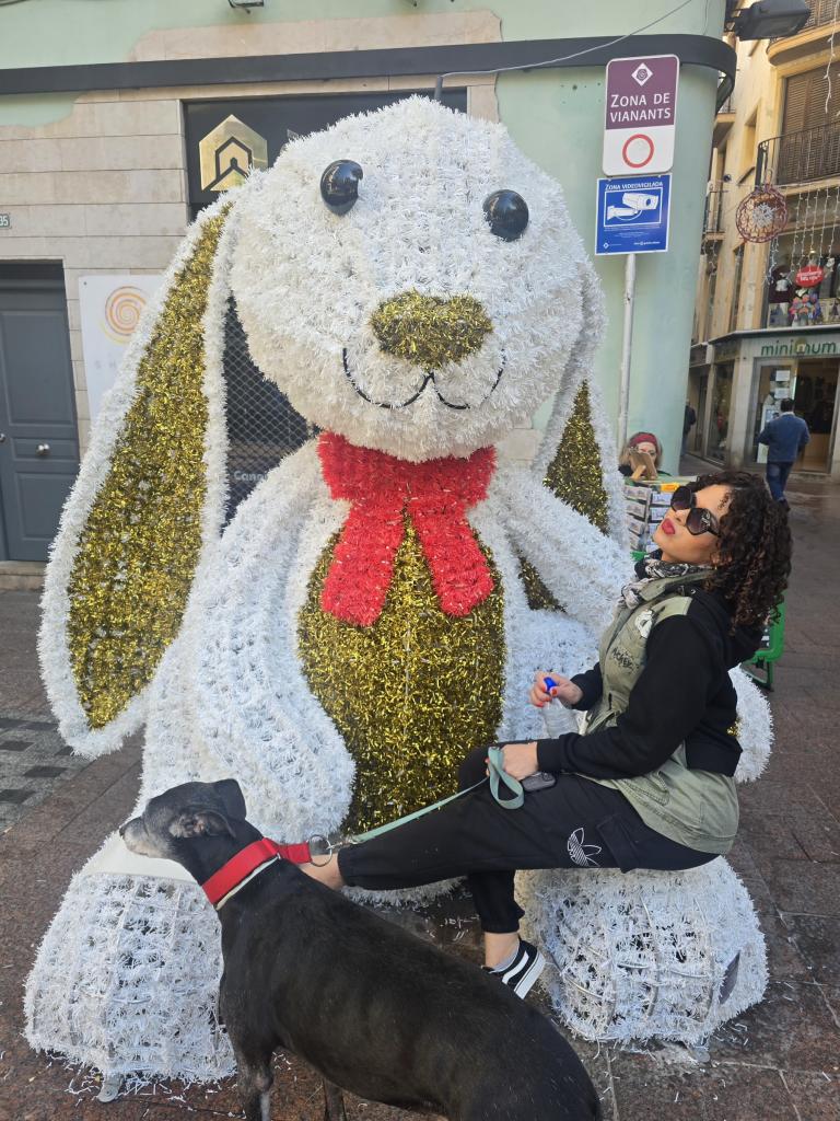 Transexual en Tarragona: 