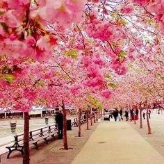 651960756:  en Madrid