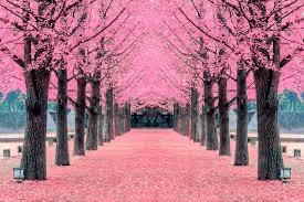 651960756:  en Madrid