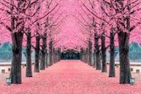 651960756:  en Madrid