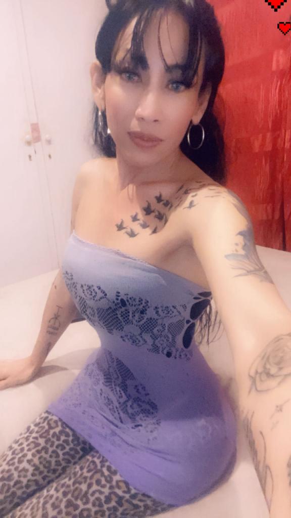 604286303: Travesti en Valladolid