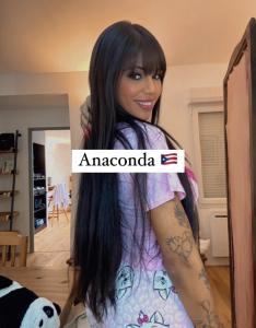 613271379: Travesti en Granada