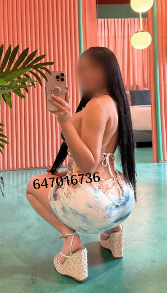 Chica busca chico en Navarra: 