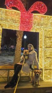 662121839: Travesti en Alicante