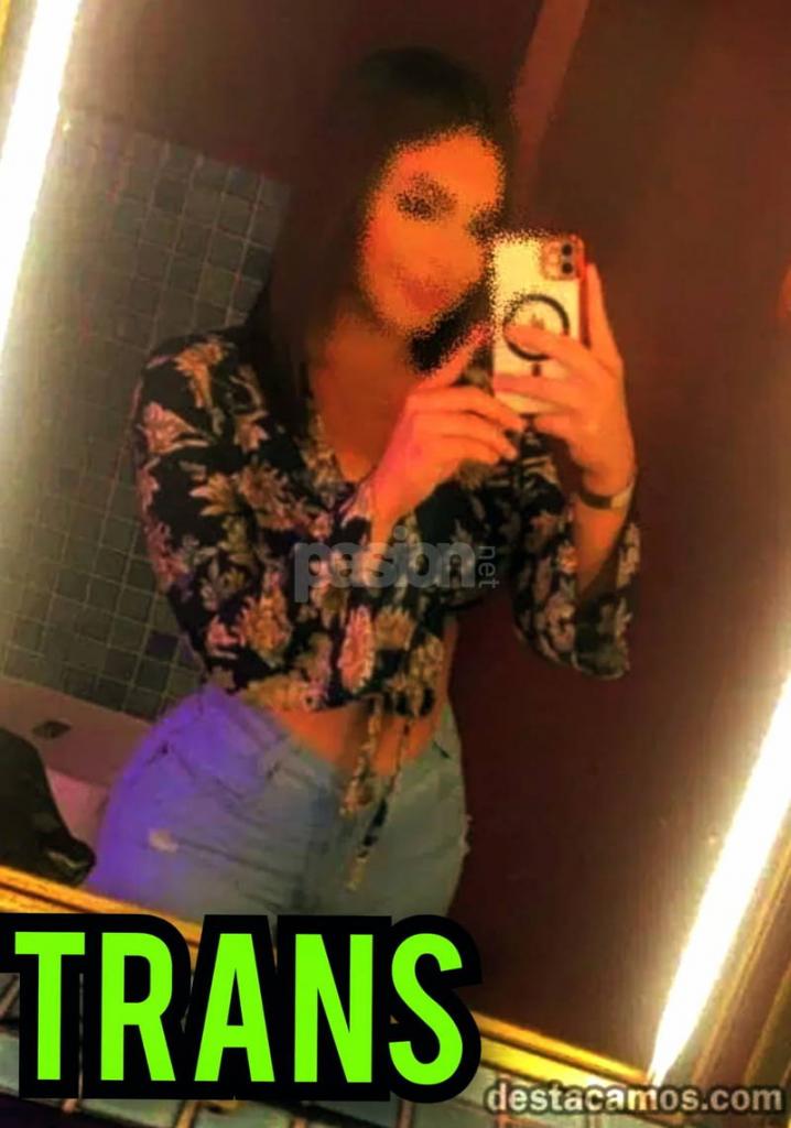 Travesti en Castellón: 